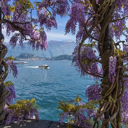 Paradiso Del Lago Cristina